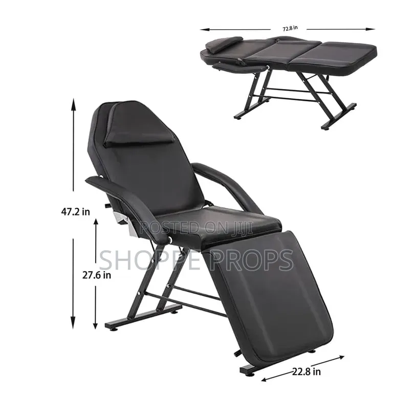 Professional Foldable Massage and Tattoo Chair/Bed for Spa Salon
