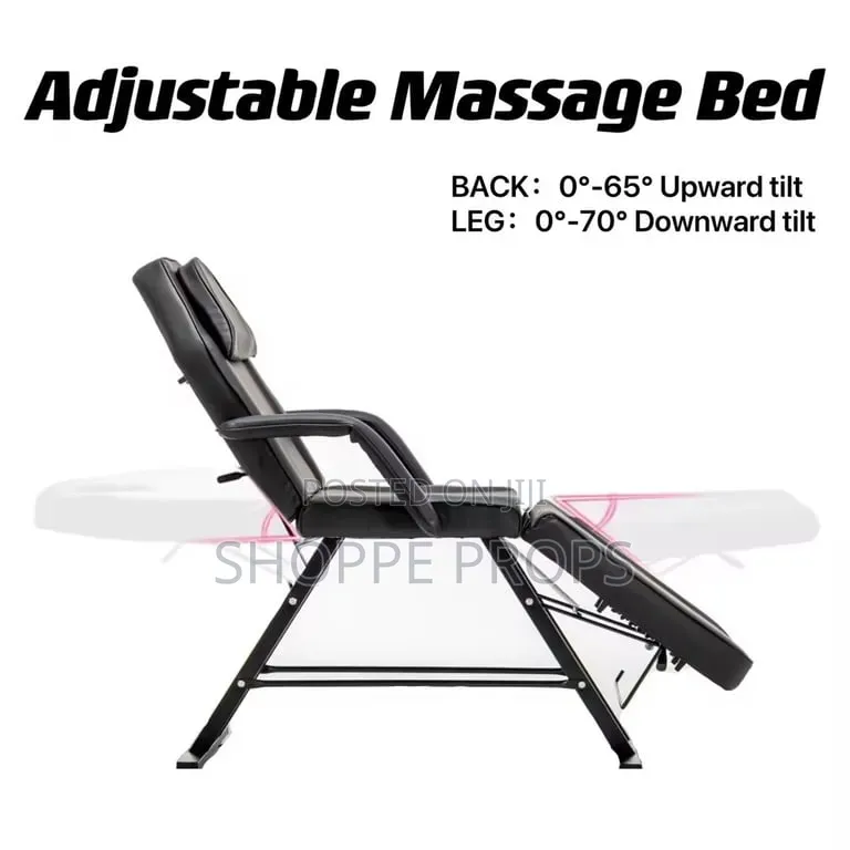 Professional Foldable Massage and Tattoo Chair/Bed for Spa Salon