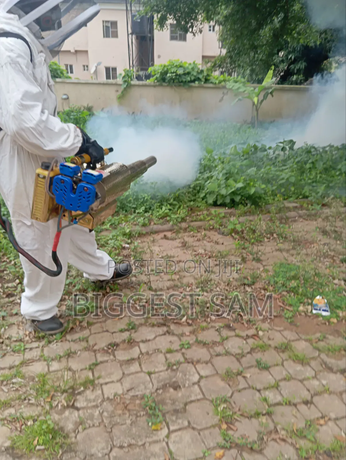 Fumigation / Pest Control Services in Abuja