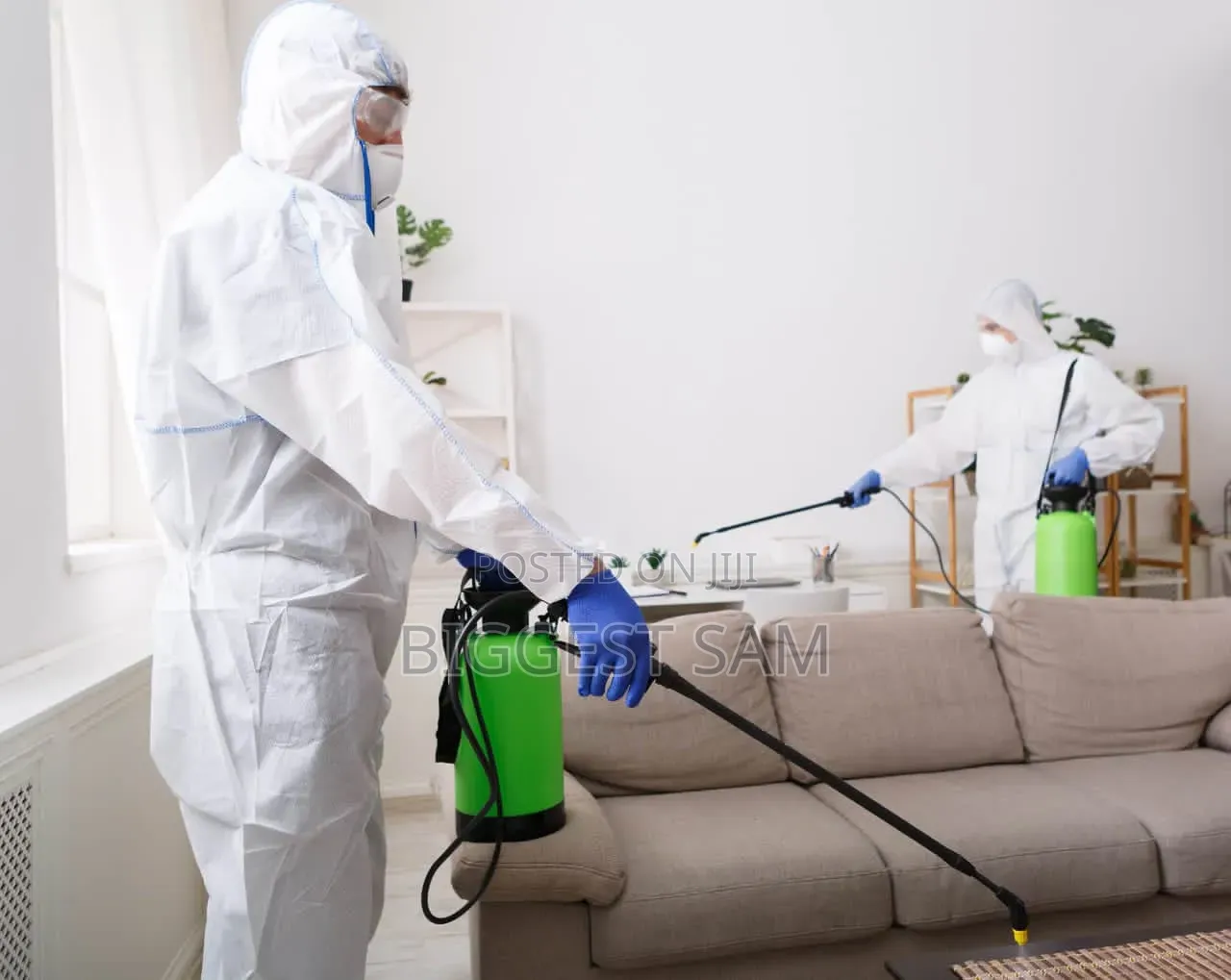 Fumigation / Pest Control Services in Abuja