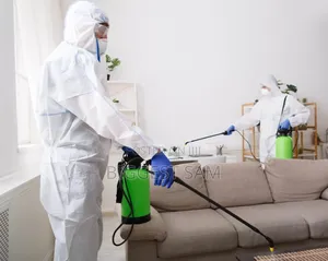 Fumigation / Pest Control Services in Abuja