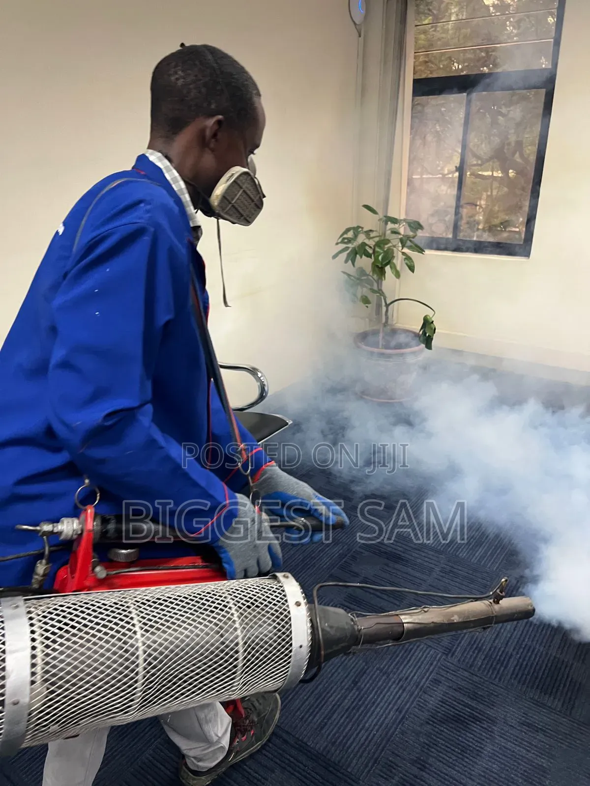 Fumigation / Pest Control Services in Abuja