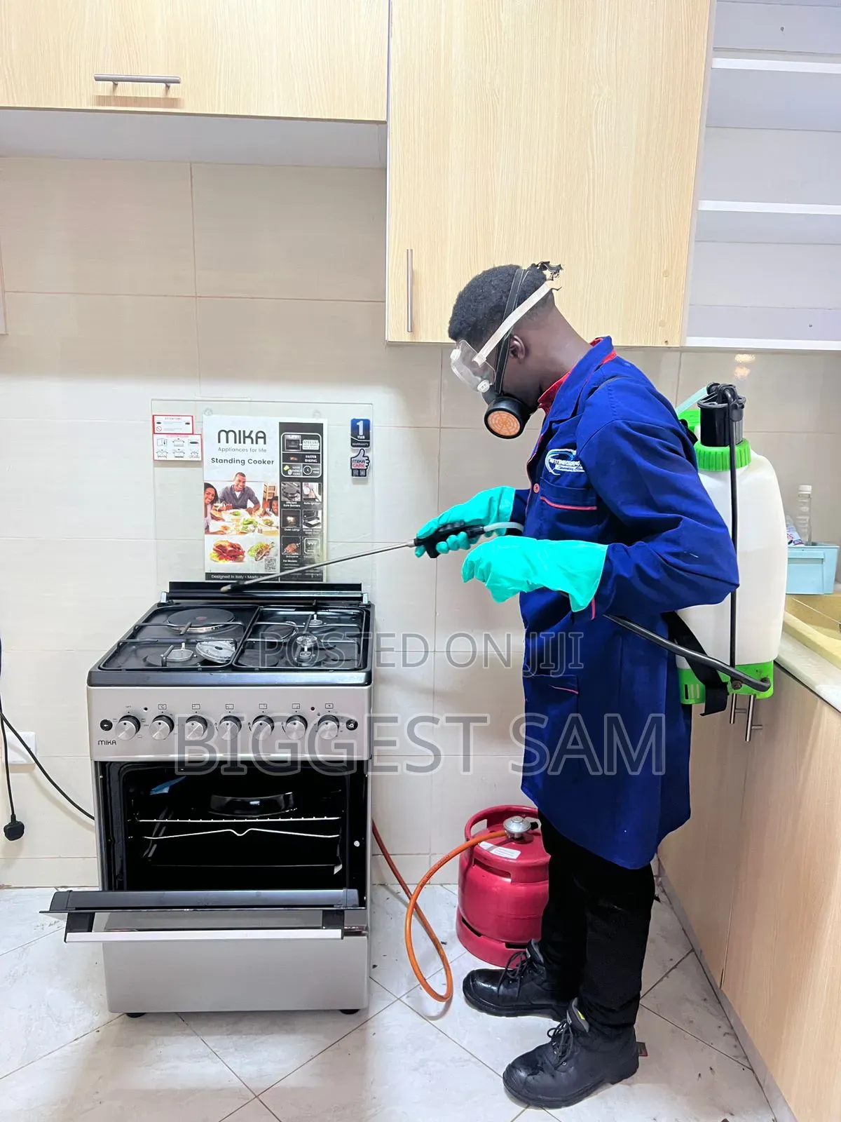 Fumigation / Pest Control Services in Abuja