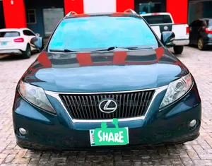 Lexus RX 2010 Gray