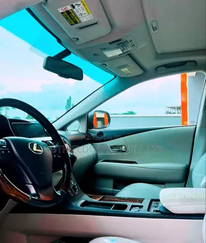 Lexus RX 2010 Gray