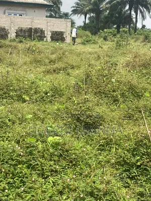 Hurry Now! Urgent Distress Sale of Half Plot at Igboh Etche