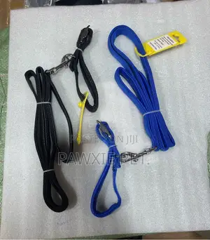 Nylon Double Handle Leash and Padded Collar 2.0*120cm