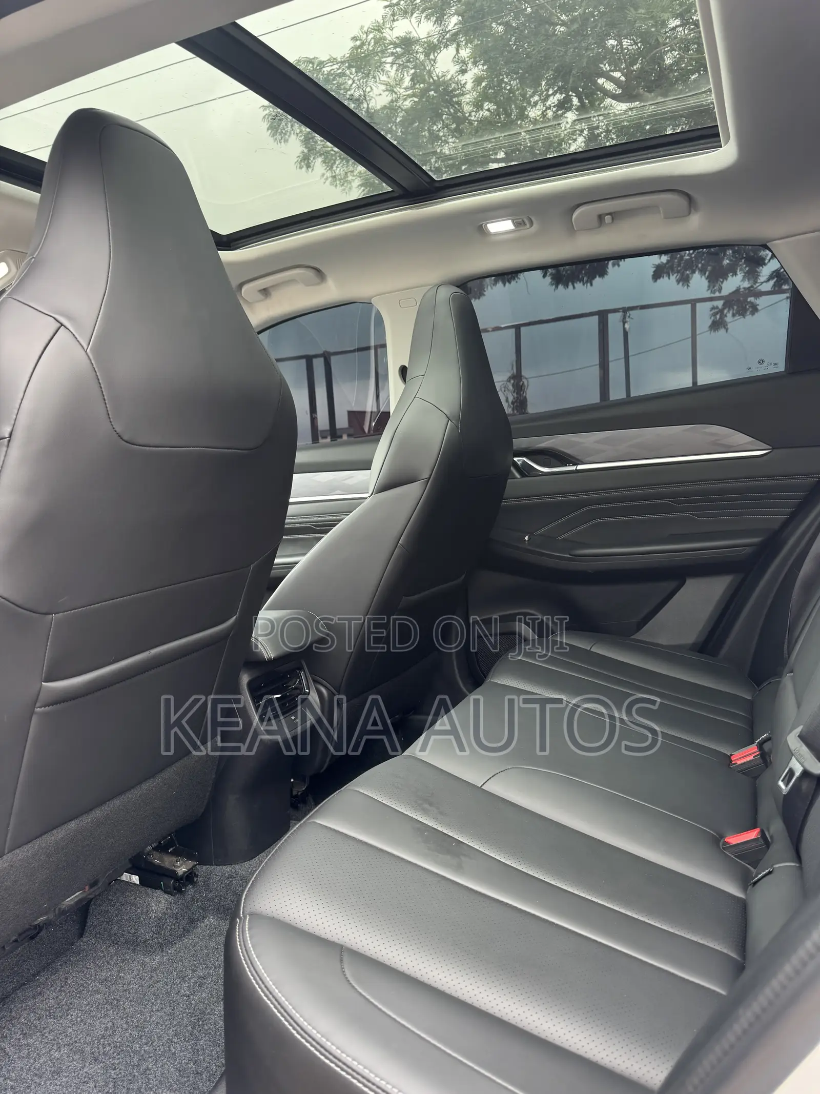 New Dongfeng EV EX1 2025