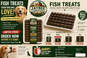 Dog Fish Treats