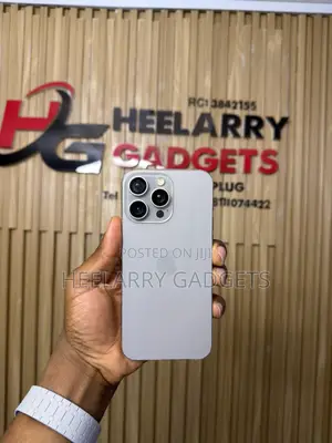 Apple iPhone 15 Pro Max 256 GB Silver