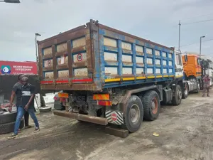 Man 30tons Tiper