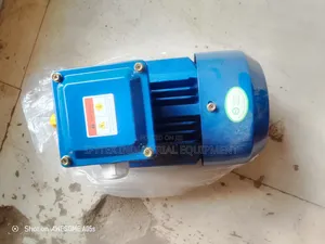 Electric Motor 3 Phase
