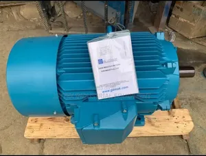 Electric Motor 3 Phase