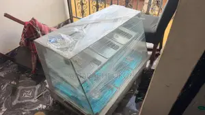 Food Warmer