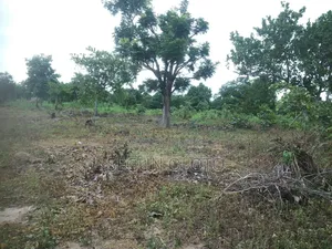 8 Plots of Land for Lease- Farming Only