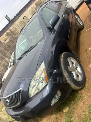 Lexus RX 2008 Gray