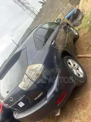 Lexus RX 2008 Gray
