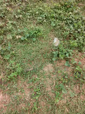 Distress Sale Estate Plot in Galadimawa for Sale