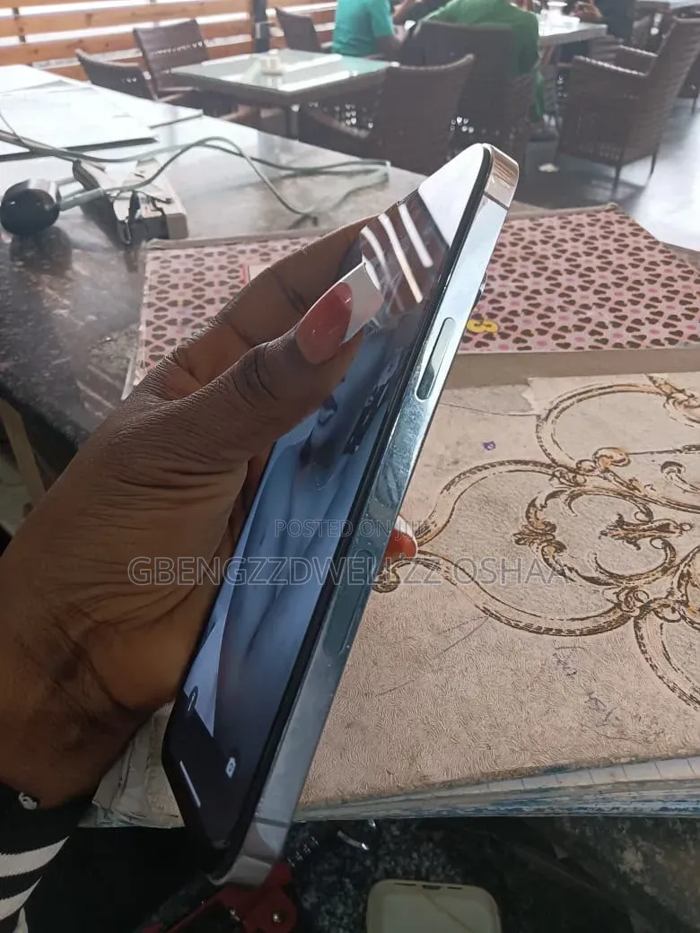 Apple iPhone 13 Pro Max 128 GB Gray