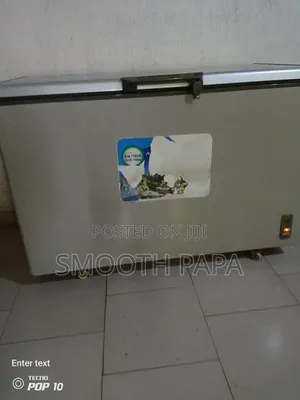 Clean Scanfrost 411L Deep Freezer – Works Perfectly