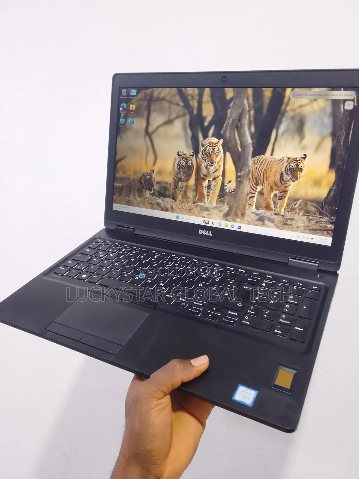 Laptop Dell Latitude 5580 8GB Intel Core i5 SSD 256GB