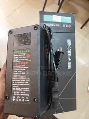 Lithium Battery Charger