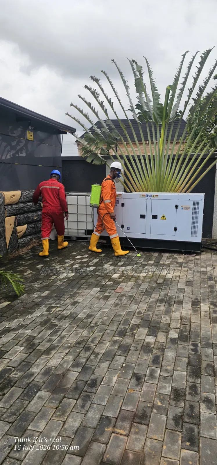 House Cleaning and Fumigation and Pest Control