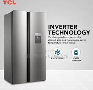 Fridge Appliance