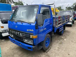 Mini Truck Dyna