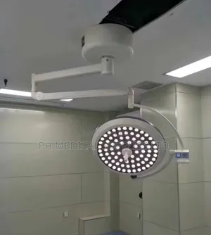 Ceiling Mounted Theatre Light (LED)