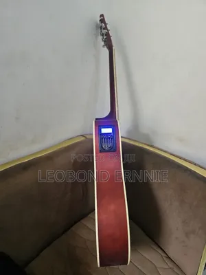 Semi Acoustic Guitar