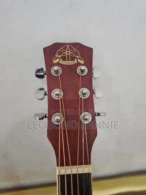 Semi Acoustic Guitar