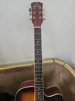 Semi Acoustic Guitar