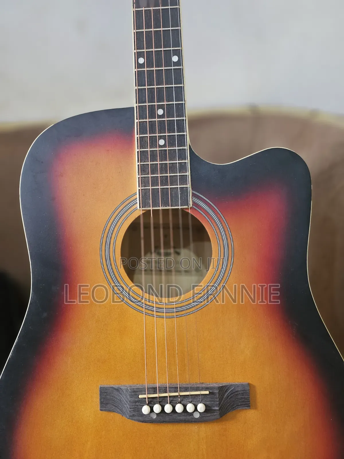 Semi Acoustic Guitar