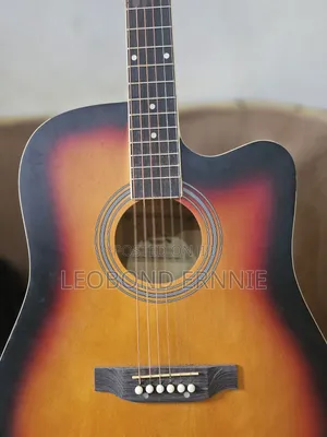 Semi Acoustic Guitar