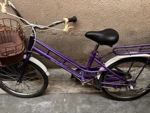 Sport Bicycles