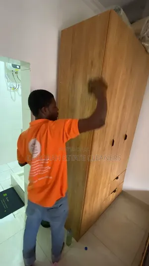 Affordable Deep Cleaning for Home Wardrobe and Cabinets