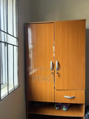 Wardrobe Neatly Used