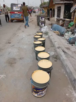 D-Promise Paint