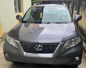 Lexus RX 2011 Gray
