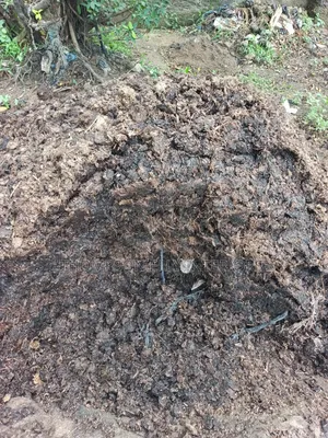 Organic Manure and Compost