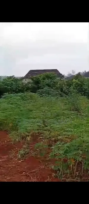 Bluesky Properties