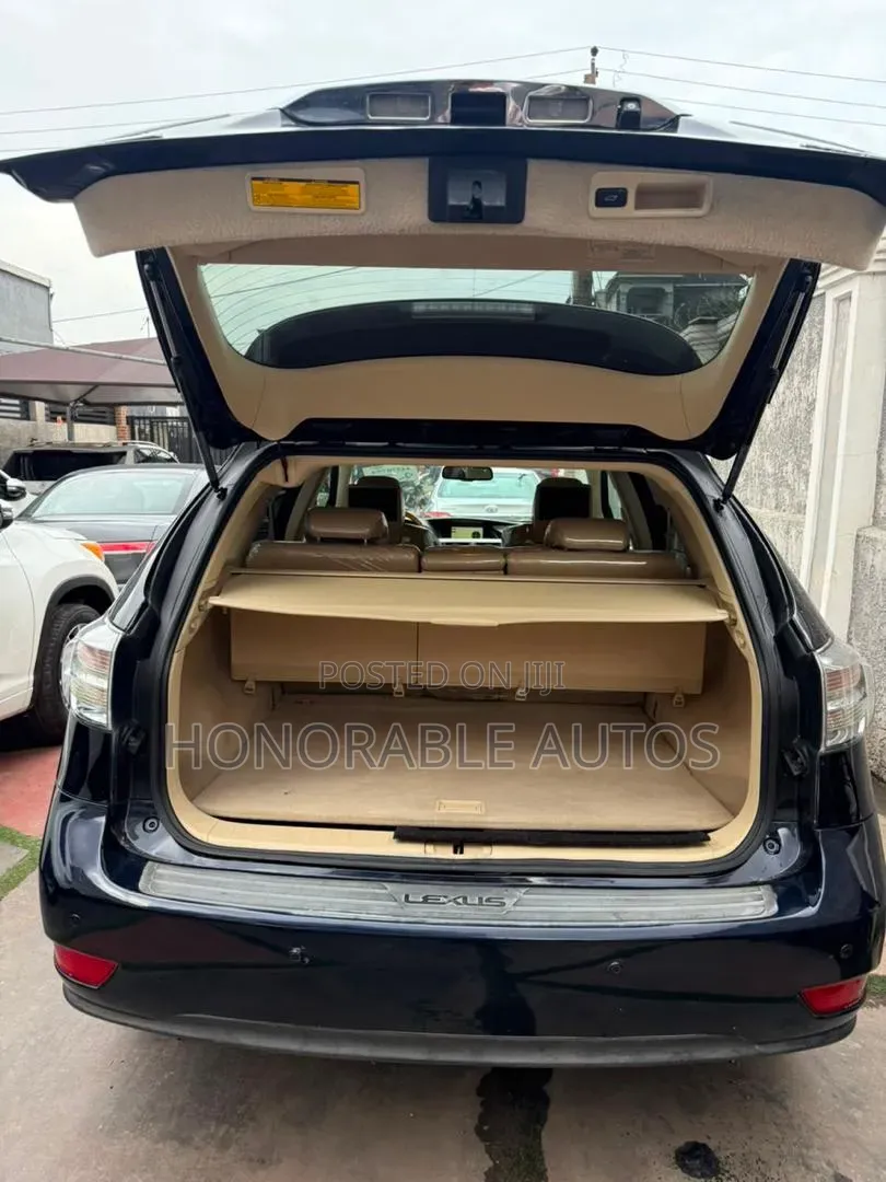 Lexus RX 2010 Blue