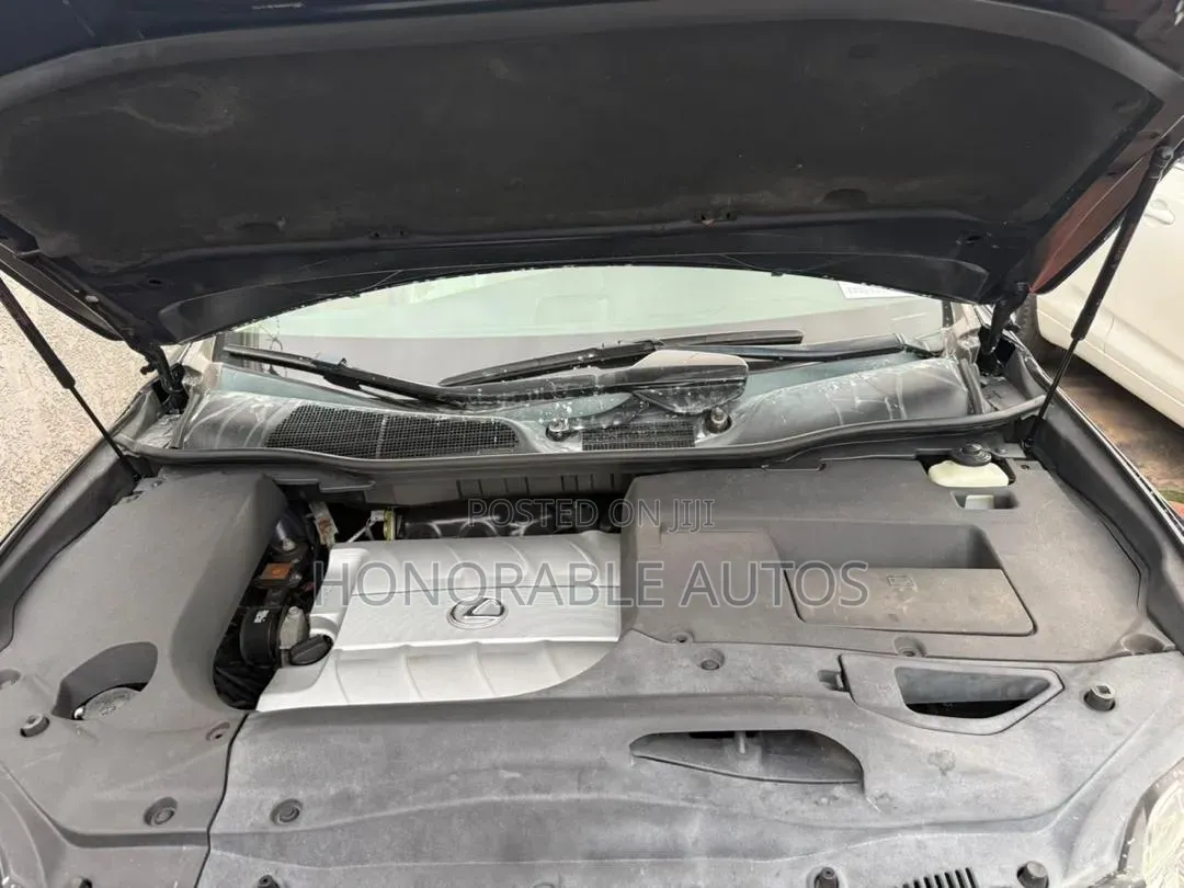 Lexus RX 2010 Blue