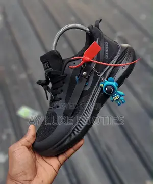 Zoom Nike Shoe