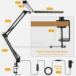 Double Head LED Desk Lamp