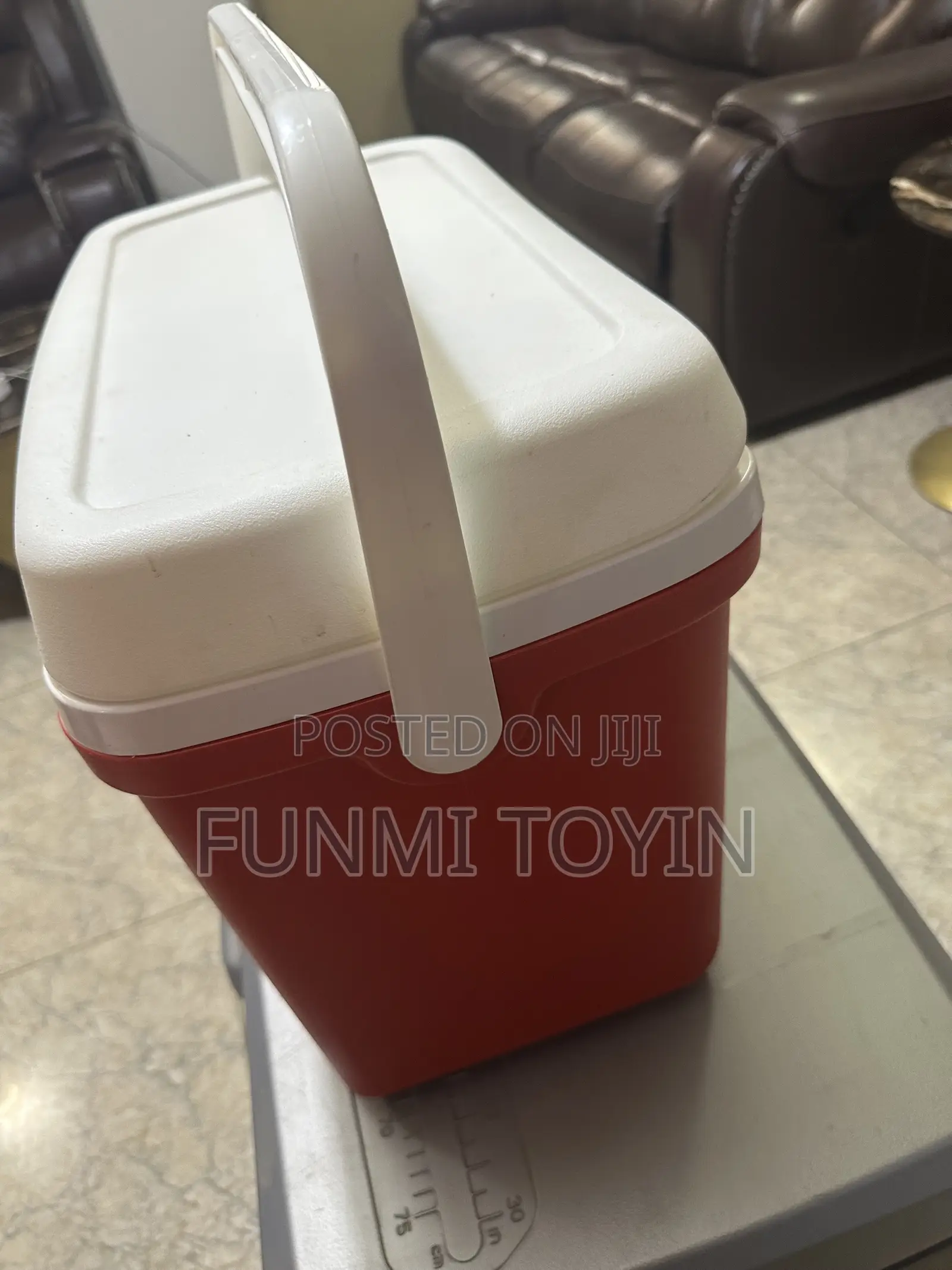 Igloo Cooler