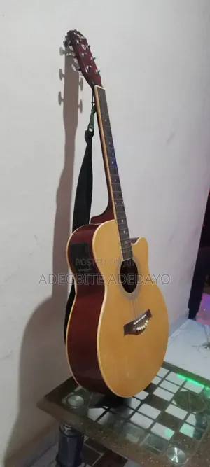 Semi Acoustic Guitar