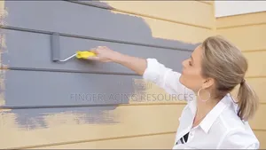 Las House and Office Painting and Screeding