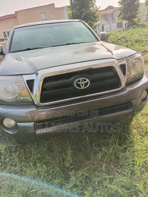 Toyota Tacoma 2010 Gray